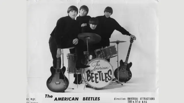 The American Beetles