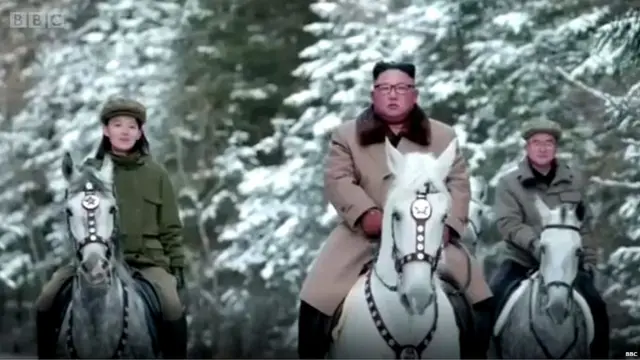 किम यो-जोंग