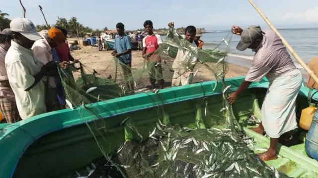 ஆழ்கடல் மீன்கள்