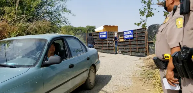 쉽록 대마초 농장에 경찰이 들이닥쳤다