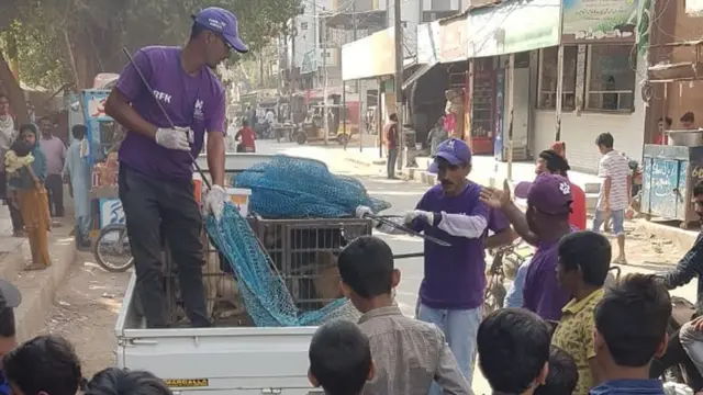 ریبیز سے بچاؤ