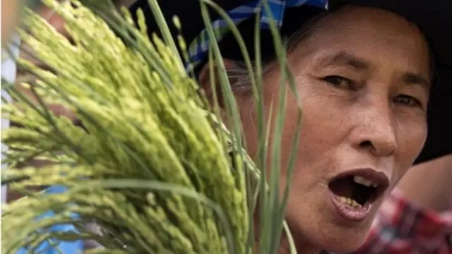 ชาวนาพร้อมรวงข้าว