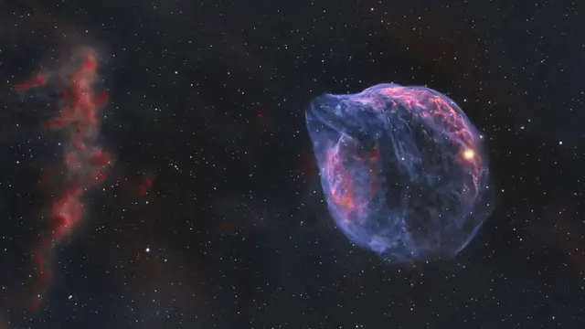 Туманність Голова Дельфіна