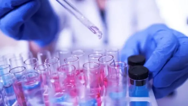 कोरोना वायरस