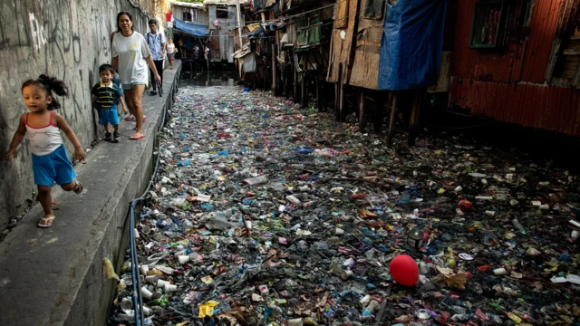 Parmi les déchets que nous jetons, certaines espèces évoluent pour prospérer dans les environnements pollués que nous créons.