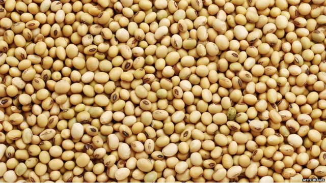 सोयाबीन
