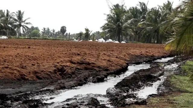 இந்தியாவில் தென்னை நார் மற்றும் சார்பு உற்பத்தி தொழிற்சாலைகள் 16816 தமிழகத்தில் 4608 தொழிற்சாலைகள் இயங்கி வருகின்றன