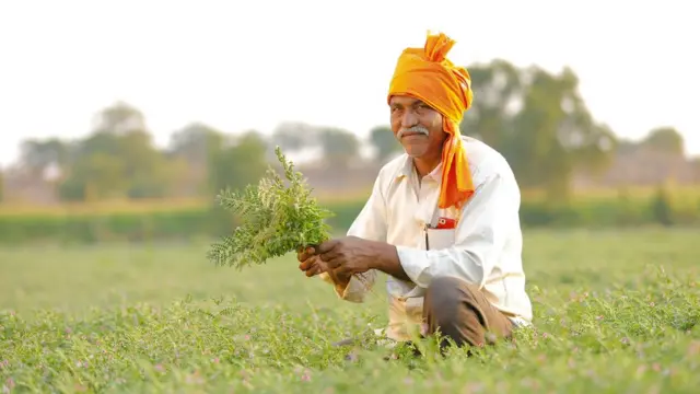 शेतकरी