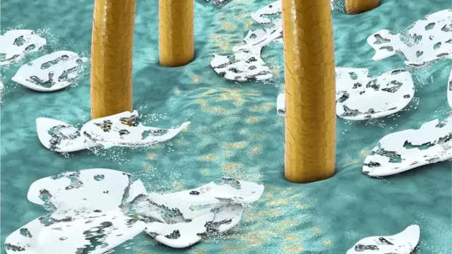 વાળની સમસ્યા