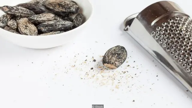 टोनका बीन