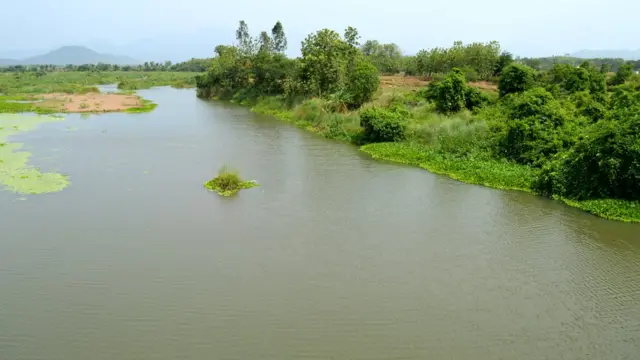 ఉద్దానం