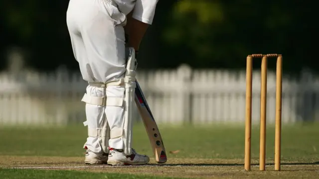 ગુજરાતનાં ક્રિકેટરોએ વિદેશમાં કર્યું નામ