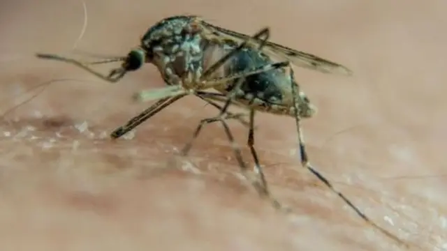 বাংলাদেশ