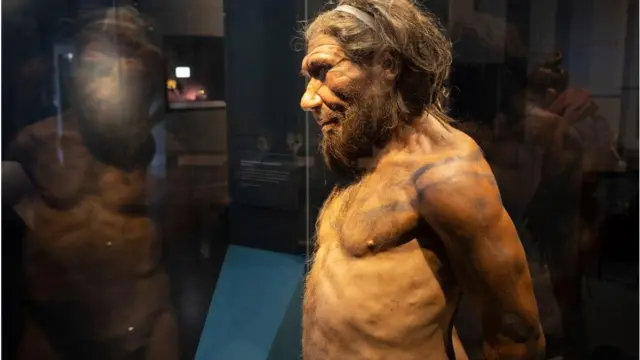 Fotografia mostra exibição no museuslot honorhistória naturalslot honorlondresslot honorcomo seria um neandertal