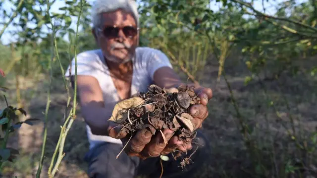 गुजरात में गांव