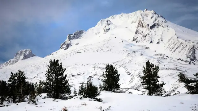 （图片来源：Zack Frank）