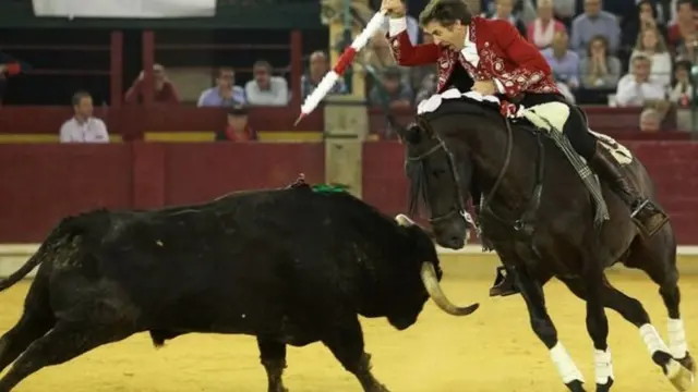 बुलफाइटिंग