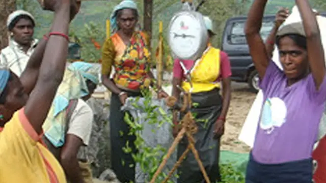 අපට ලැබෙන්නේ දළු තරමට බර නැති වැටුපක්