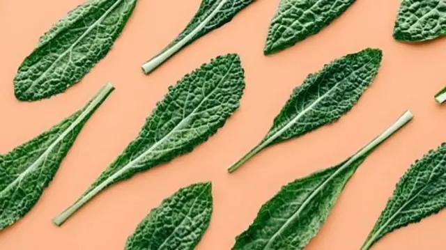 绿叶蔬菜中含有丰富的维生素K。