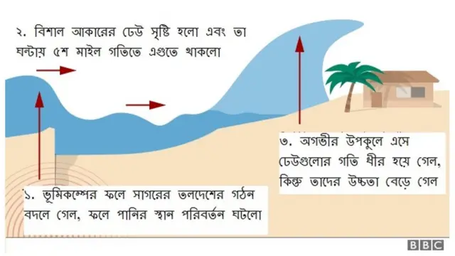 কিভাবে এত বড় সুনামির ঢেউ সৃষ্টি হলো - তা ব্যাখ্যা করার চেষ্টা করছেন বিশেষজ্ঞরা