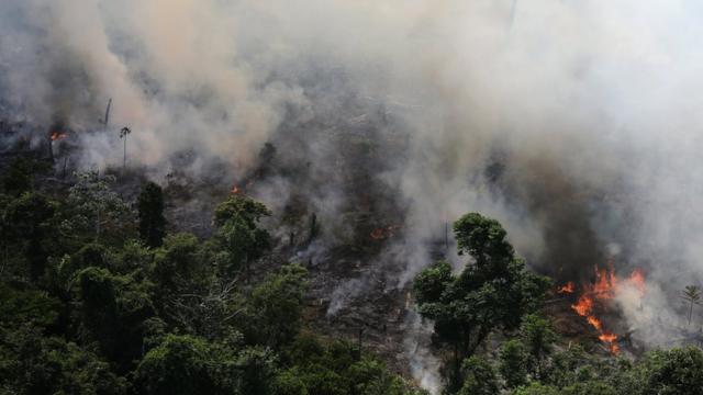 亚马逊雨林伐木工和农民烧荒