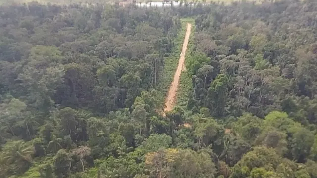 Pistabetano aposta de futebolaterrisagembetano aposta de futebolaeronaves que fazem transportebetano aposta de futebolinfraestrutura do garimpobetano aposta de futebolRoraima