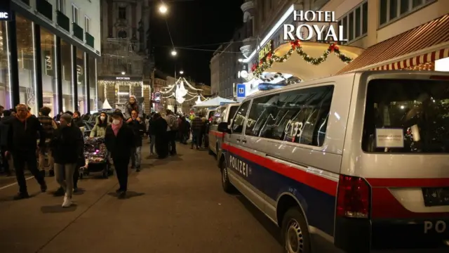 Новый год в Вене