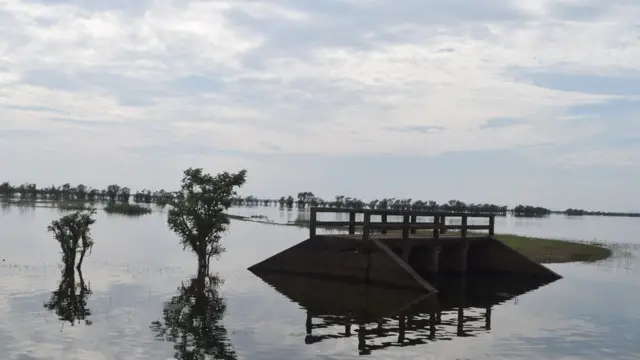 ব্রিজের ছবি