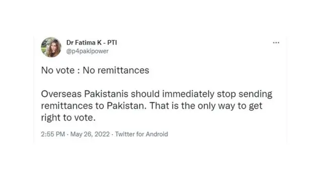 اوورسیز پاکستانی، ووٹ، حق