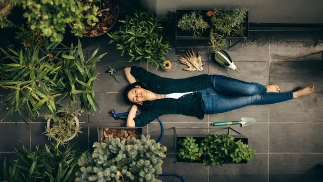 Эмоциональная связь с растениями важна, если мы хотим сохранить их для будущих поколений