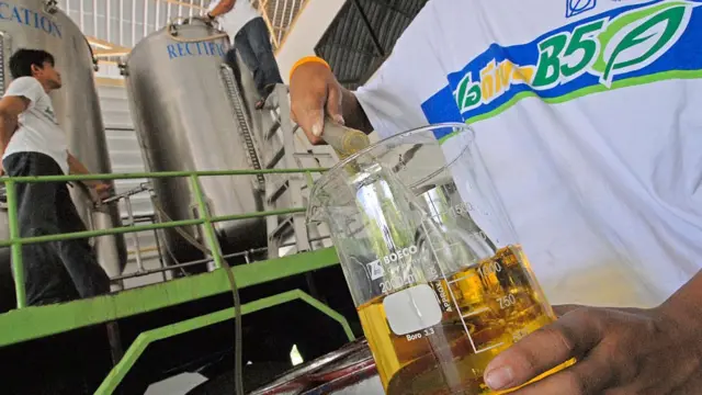 बायो फ़्यूल