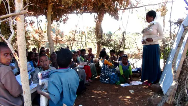 ኣብ ትግራይ ብርክት ዝበሉ ኣብ ጽሓይን ንፋስን ኮይኖም ዝመሃሩ ተመሃሮ መባእታዊ ቤት ትምህርቲ ኣለው