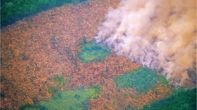 Desmatamento na floresta amazônica