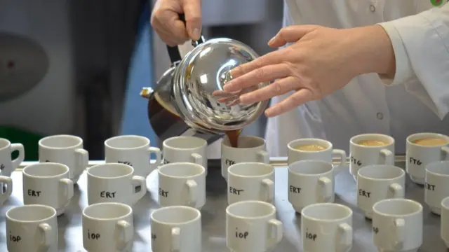 مذاق ستينوفيلا طيب به طعم الفاكهة.