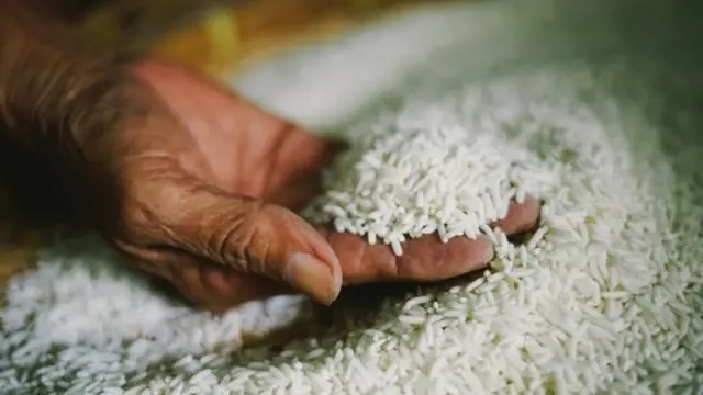 Mano con un puñado de granos de arroz