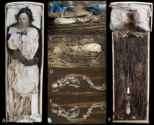 Останки епископа и зародыша