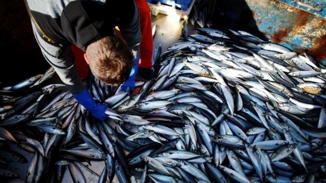 Has the Brexit fishing promise come true?