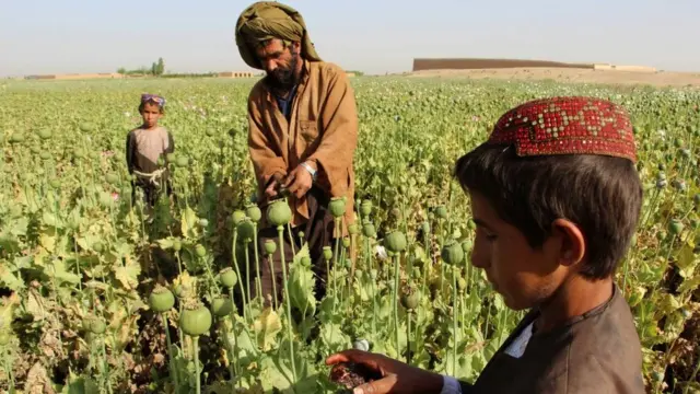 پوست، افغانستان