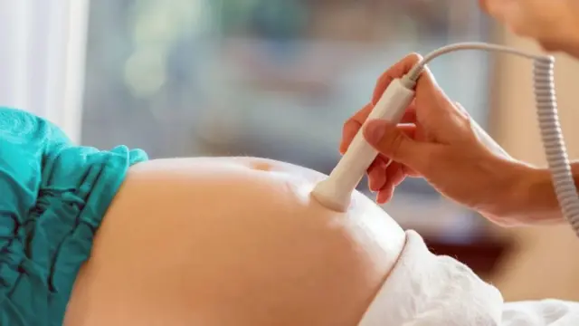 ایک بیضے کو تیار ہونے میں اتنا ہی وقت لگتا ہے جتنا حمل کے پورا ہونے میں، یعنی نو مہینے۔