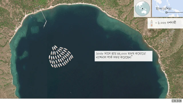 কমোডো দ্বীপের যেভাবে বাড়ছে টুরিস্ট।