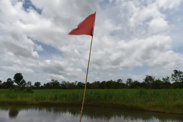 หนองบัว