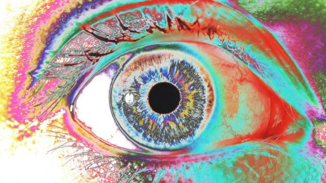 Las células de los lentes de nuestros ojos viven tanto como nosotros. (Imagen de Kate Whitley, Wellcome Images).