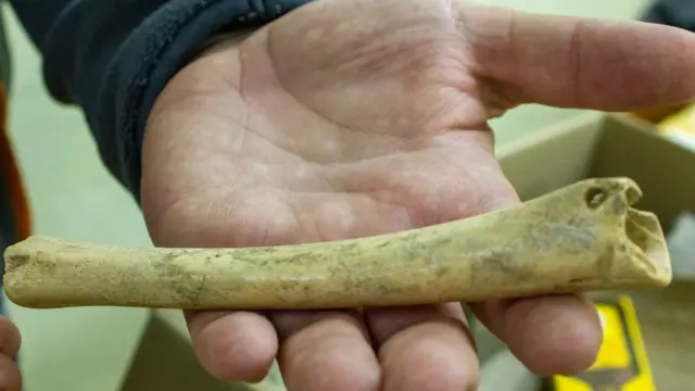 Кістаний виріб