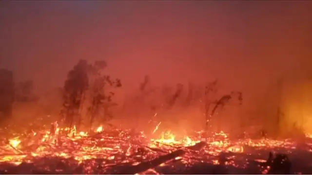 ఇండోనేషియా