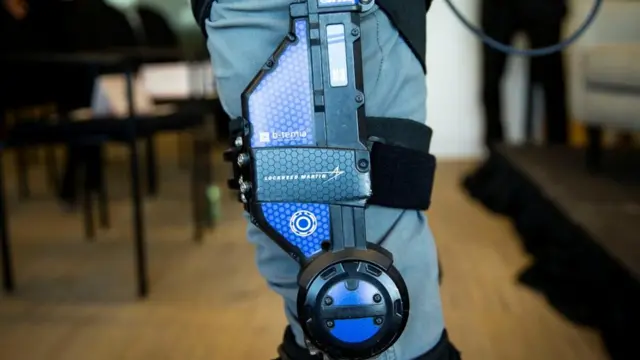 فانوسقه، یقلوی، اگزواسکلتون