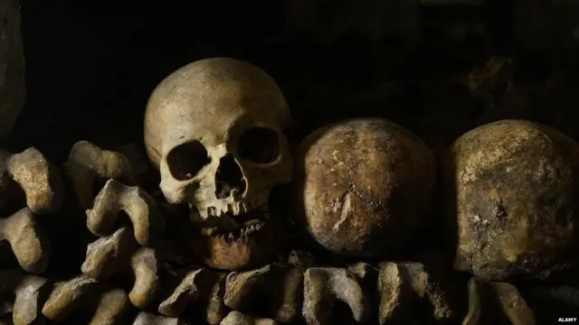 ਮਨੁੱਖੀ ਖੋਪੜੀ