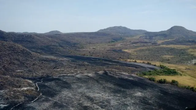 Área devastada por incêndio