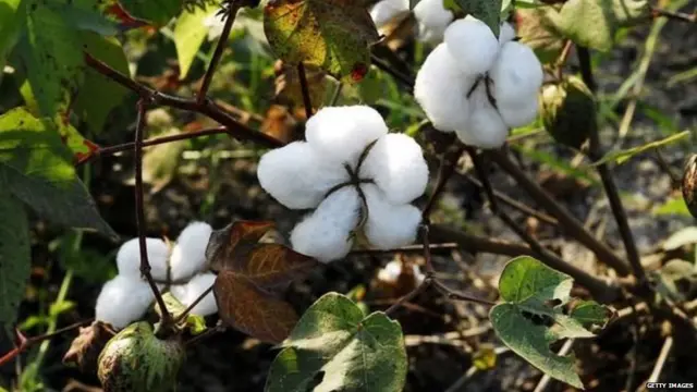 भारत और पाकिस्तान के बीच व्यापार