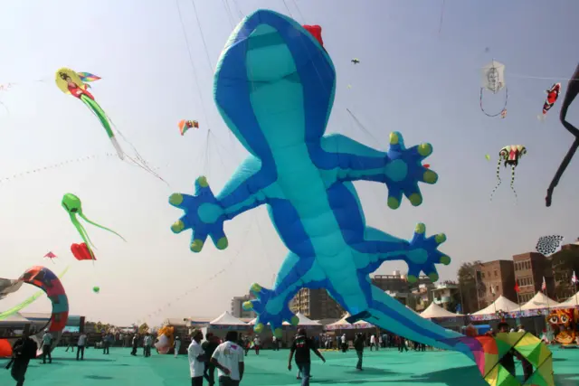 पतंगबाज़ी