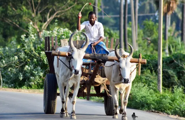 போக்குவரத்து: பிபிசி தமிழ் நேயர்களின் சிறந்த புகைப்படங்கள்